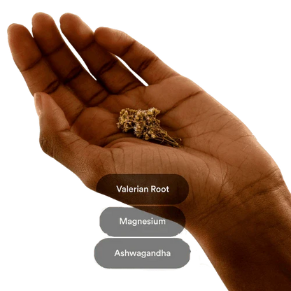 Dream Patches - Valerian Root